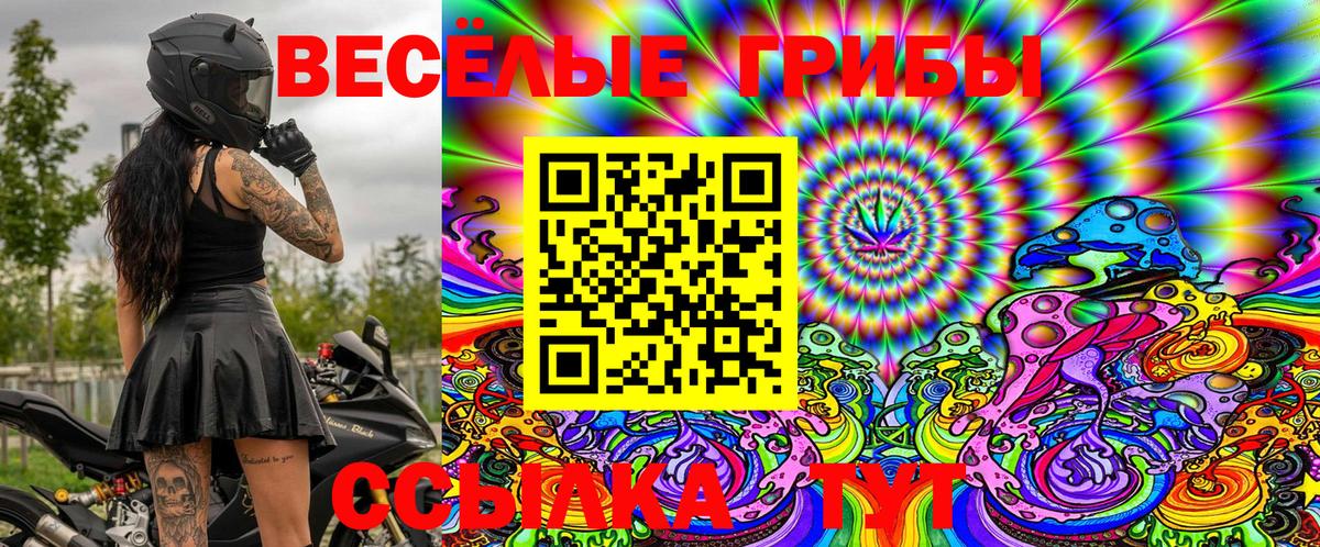 Галлюциногенные грибы Cubensis  Псилоцибиновые грибы Psilocybe  Вход с VPN  наркошоп  Звенигород 